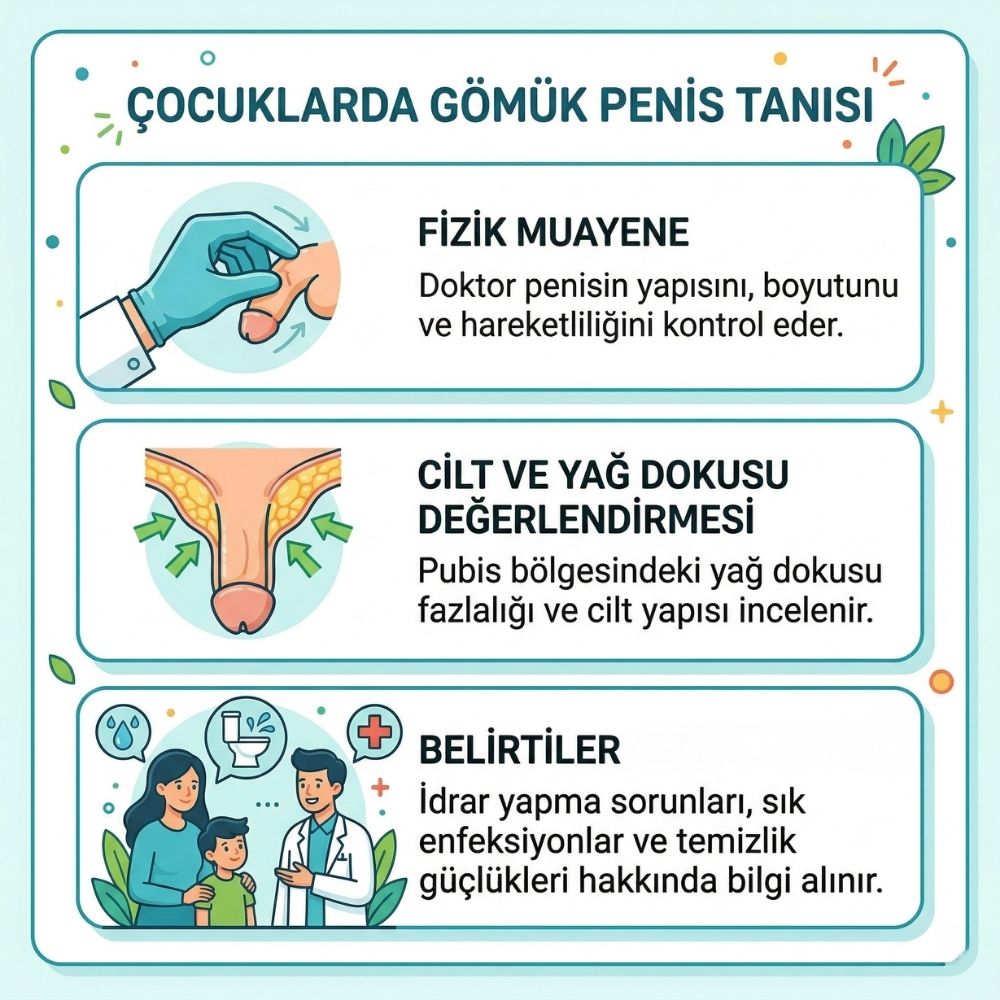 gÃ¶mÃ¼k pipi neden olur